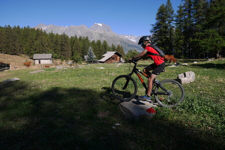 2016-08-27-VTT-Puy-Saint-Vincent, alpes-aventure-VTT-puy-saint-vincent-2016-08-27-20