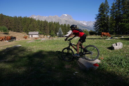 2016-08-27-VTT-Puy-Saint-Vincent, alpes-aventure-VTT-puy-saint-vincent-2016-08-27-22