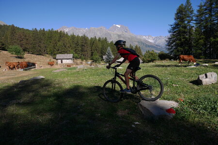 2016-08-27-VTT-Puy-Saint-Vincent, alpes-aventure-VTT-puy-saint-vincent-2016-08-27-23