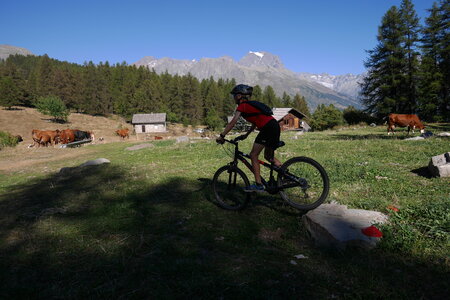 2016-08-27-VTT-Puy-Saint-Vincent, alpes-aventure-VTT-puy-saint-vincent-2016-08-27-24