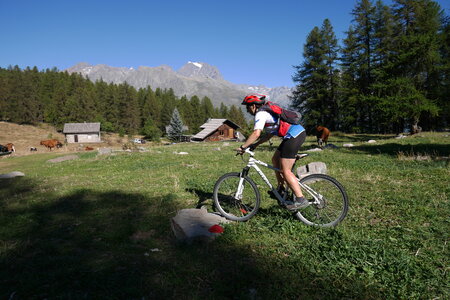 2016-08-27-VTT-Puy-Saint-Vincent, alpes-aventure-VTT-puy-saint-vincent-2016-08-27-29