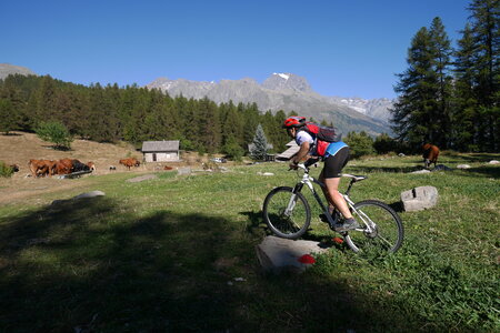 2016-08-27-VTT-Puy-Saint-Vincent, alpes-aventure-VTT-puy-saint-vincent-2016-08-27-31