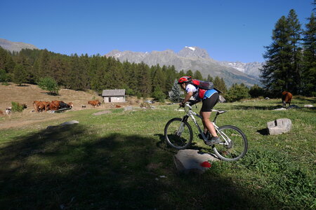 2016-08-27-VTT-Puy-Saint-Vincent, alpes-aventure-VTT-puy-saint-vincent-2016-08-27-32