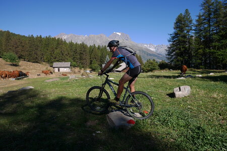 2016-08-27-VTT-Puy-Saint-Vincent, alpes-aventure-VTT-puy-saint-vincent-2016-08-27-37