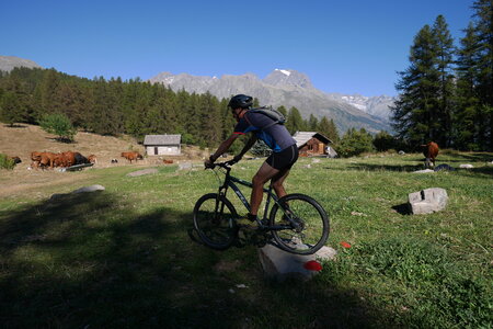 2016-08-27-VTT-Puy-Saint-Vincent, alpes-aventure-VTT-puy-saint-vincent-2016-08-27-38