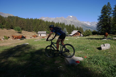 2016-08-27-VTT-Puy-Saint-Vincent, alpes-aventure-VTT-puy-saint-vincent-2016-08-27-39