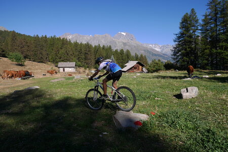 2016-08-27-VTT-Puy-Saint-Vincent, alpes-aventure-VTT-puy-saint-vincent-2016-08-27-45