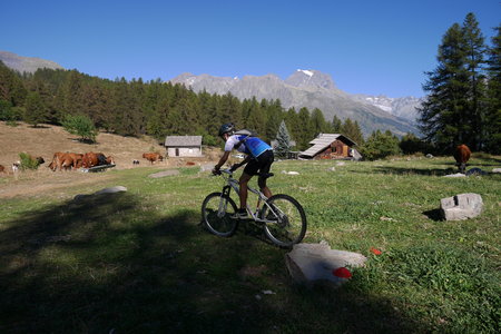 2016-08-27-VTT-Puy-Saint-Vincent, alpes-aventure-VTT-puy-saint-vincent-2016-08-27-46