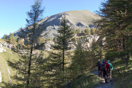 Randonnée du 28/08/2016 au Mont Pelat, IMG_7075