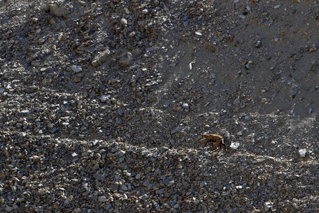 Randonnée du 28/08/2016 au Mont Pelat, IMG_7087