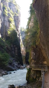 Berner Oberland Août 2016 / Aareschlucht et Lac de Brienz, 20160826_134024