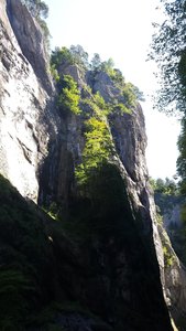 Berner Oberland Août 2016 / Aareschlucht et Lac de Brienz, 20160826_134145