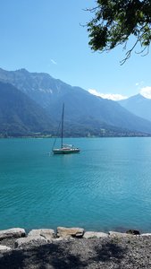 Berner Oberland Août 2016 / Aareschlucht et Lac de Brienz, 20160826_151323