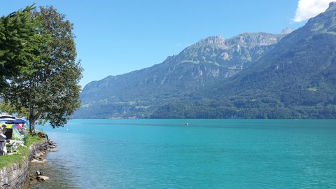 Berner Oberland Août 2016 / Aareschlucht et Lac de Brienz, 20160826_151336