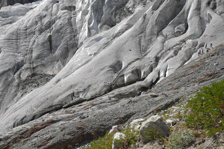 2016-08-27-28-alpinisme-dome-ecrins, alpes-aventure-alpinisme-glacier-blanc-ecrins-2016-08-27-05