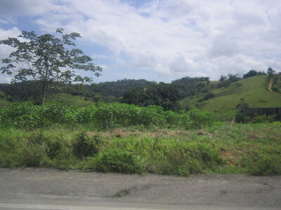 Brasil, IMG_0734