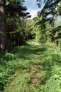 20160625_0710 GR5 2016 Thann - Thonon, 20160701-16-030716 gr5 la suisse a gauche du sentier