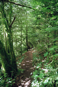 20160625_0710 GR5 2016 Thann - Thonon, 20160626-30-010716 gr5 le sentier entre goumois et la charbonniere du haut