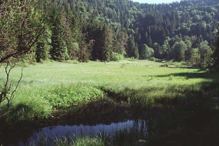 20150620_0709 GR5 2015 Wissembourg - Thann, 20150626-28-300615 gr5 l etang du devin