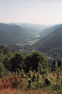 20150620_0709 GR5 2015 Wissembourg - Thann, 20150701-15-020715 gr5 mittlach et la vallée de la grande fecht