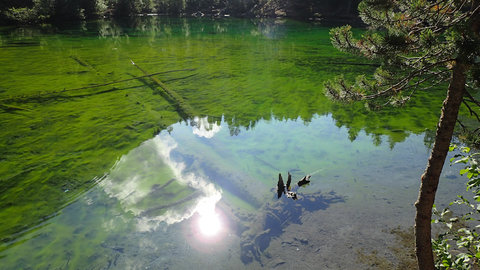 Randonnée du 10 et 11/09/2016 au Mont Thabor, P9100525