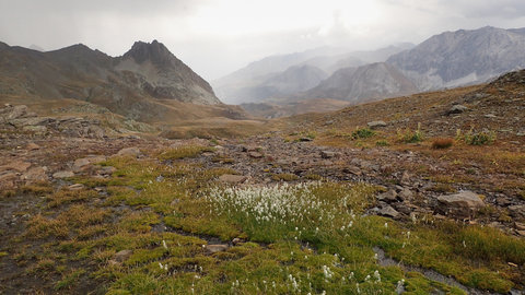 Randonnée du 10 et 11/09/2016 au Mont Thabor, P9100593