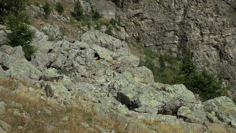 Randonnée du 18/09/2016 au col des Tourettes, P9150710