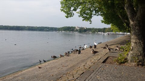 Berlin - Ausflug am Grünen Band - Septembre 2016, Tegeler See 2