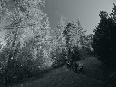 Randonnée du 20/09/2016 au pic de Bernadez, P9200019-001  Copier 