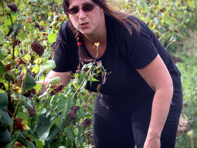 Vendanges 2016, IMG_5035