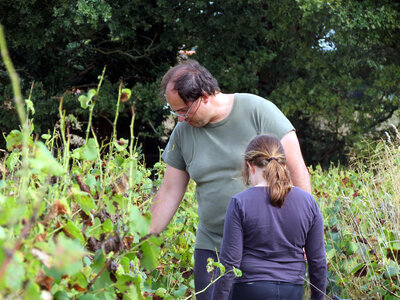 Vendanges 2016, IMG_5053