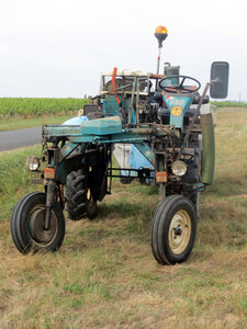 Vendanges 2016, IMG_5078