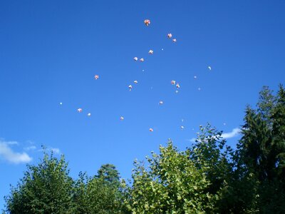 LOURDES 2010 , CIMG1078