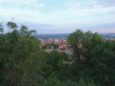 Budapest-Erasmus-Pécs, DSC_0220