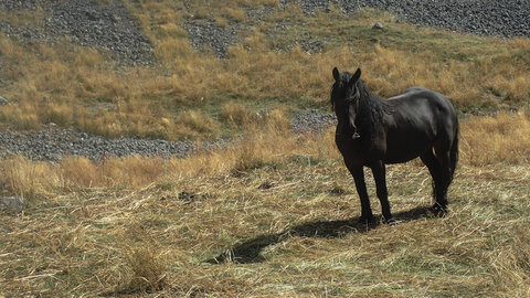 Randonnée du 25/09/2016 au pic de Charance, P9250152