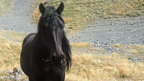 Randonnée du 25/09/2016 au pic de Charance, P9250154