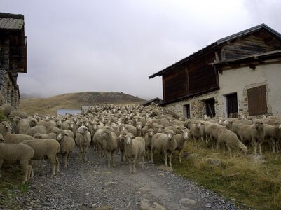 Randonnée du 27/09/2016 au col de Néal et du Lauzon, P9270023  Copier 