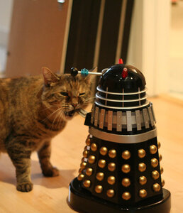 DW, cat-vs-dalek-22844-1297819670-11