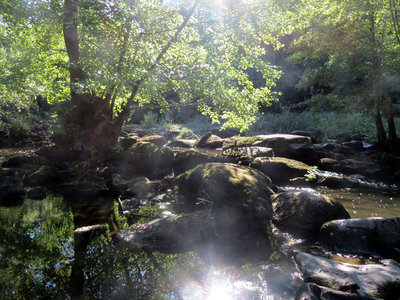 La Maine en Octobre, IMG_5088