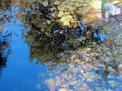 La Maine en Octobre, IMG_5097