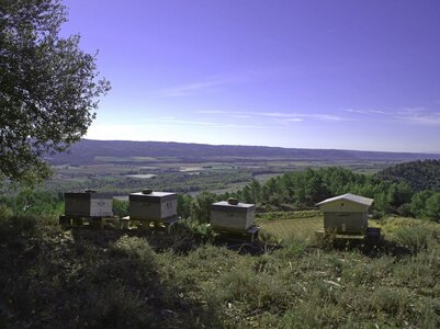 Randonnée  du 04//10/2016  à Ganagobie, PA040014  Copier 