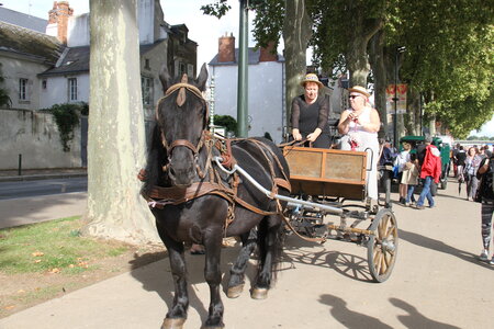 [16-09] - CAACL45 - Les Élégantes roulent les mécaniques - Dimanche 25 septembre 2016,  16-09  - CAACL45 – Les Élégantes roulent les mécaniques – Dimanche 25 septembre 2016_IMG_6878