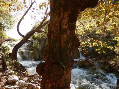 Balkan trip 6-9/10/2016, DSCN5756