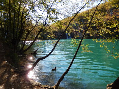 Balkan trip 6-9/10/2016, DSCN5781