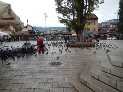 Balkan trip 6-9/10/2016, DSCN5977