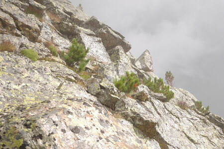2016-09-10-11-alpinisme-arete-est-mont-viso, alpes-aventure-alpinisme-mont-viso-arete-est-2016-09-11-88