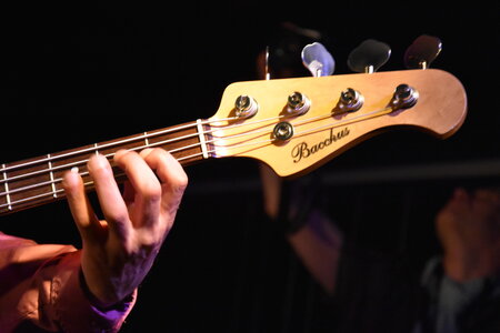 Fred Chapellier - Chez Paulette - 30/04/2016, DSC_0265