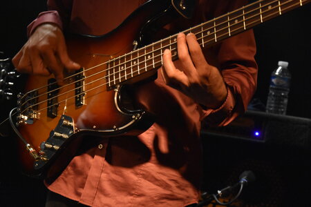 Fred Chapellier - Chez Paulette - 30/04/2016, DSC_0393