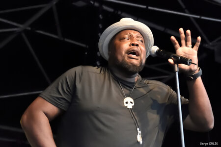 Sugaray Rayford - Epinal -29-07-16, DSC_4567