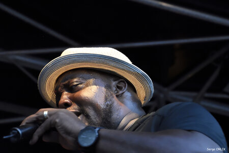 Sugaray Rayford - Epinal -29-07-16, DSC_4578